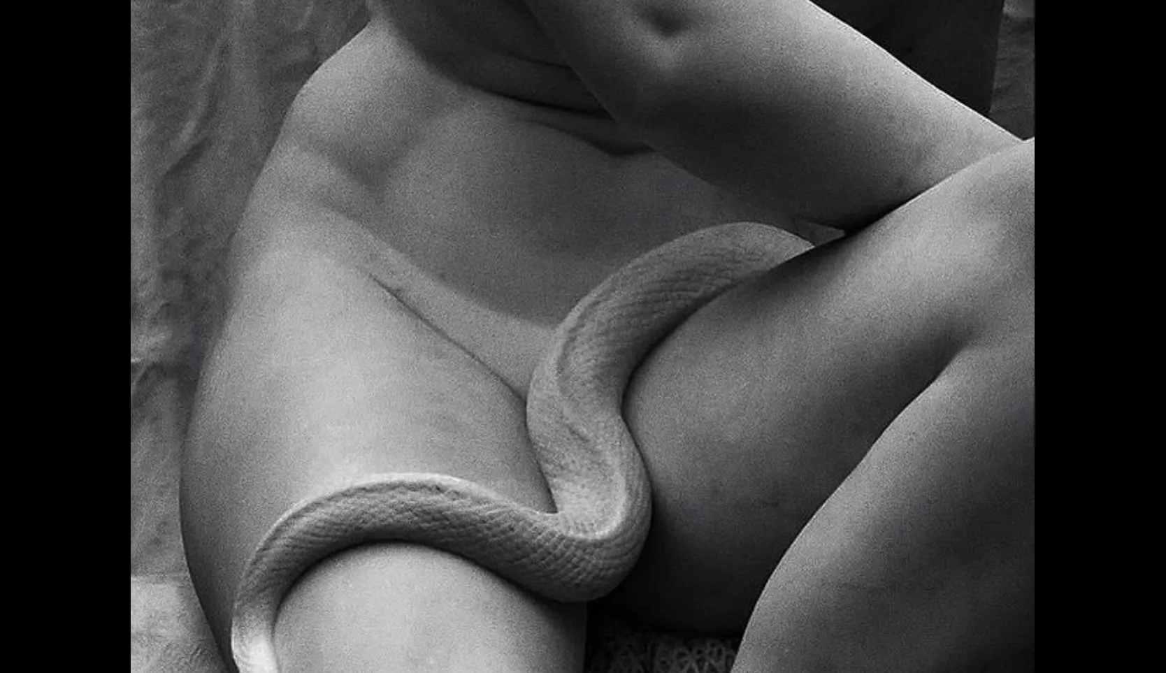 𓇺 OnlyFans header