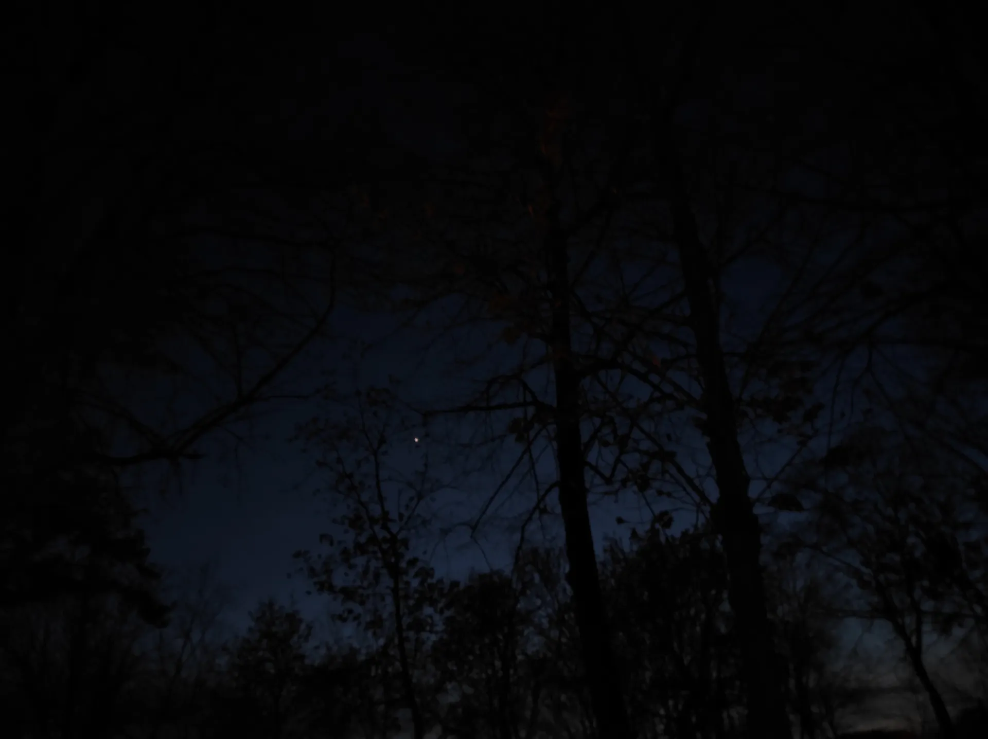 Blxssom OnlyFans header