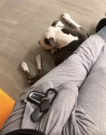 Blackboii OnlyFans header