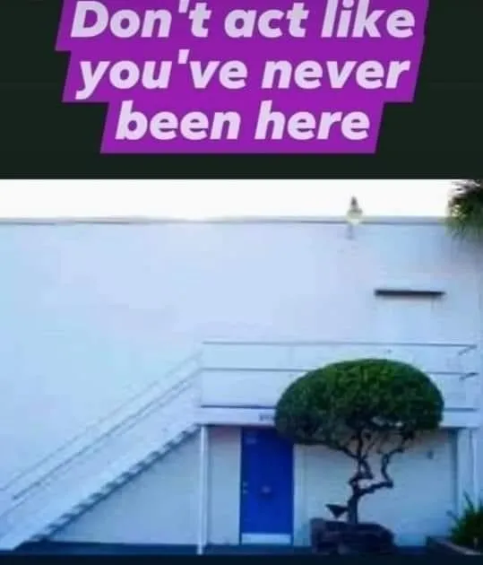 DM(V)A1Throat OnlyFans header