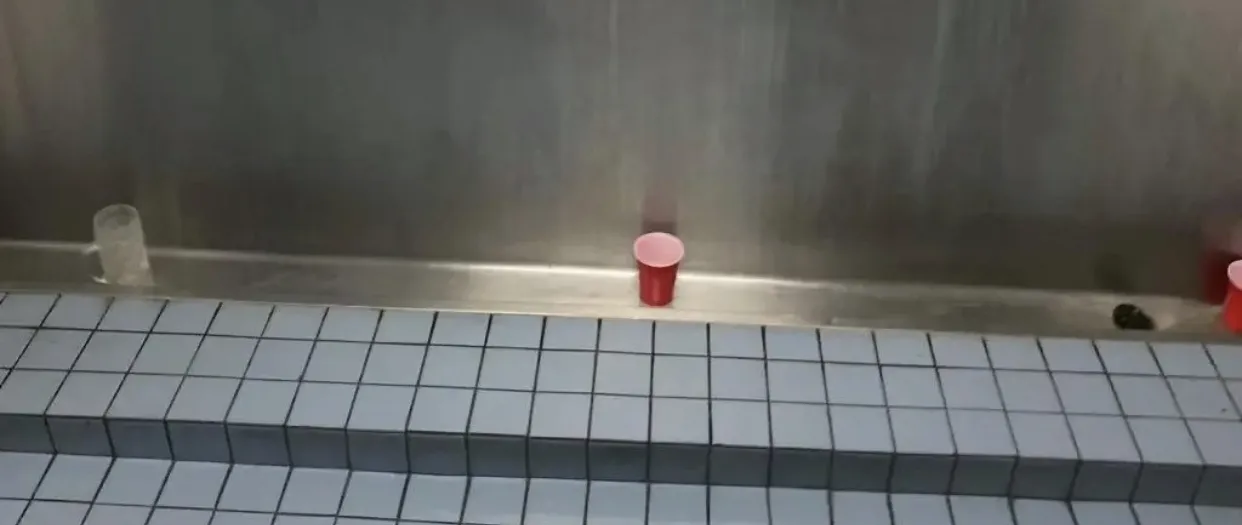 Brisbane Pig OnlyFans header