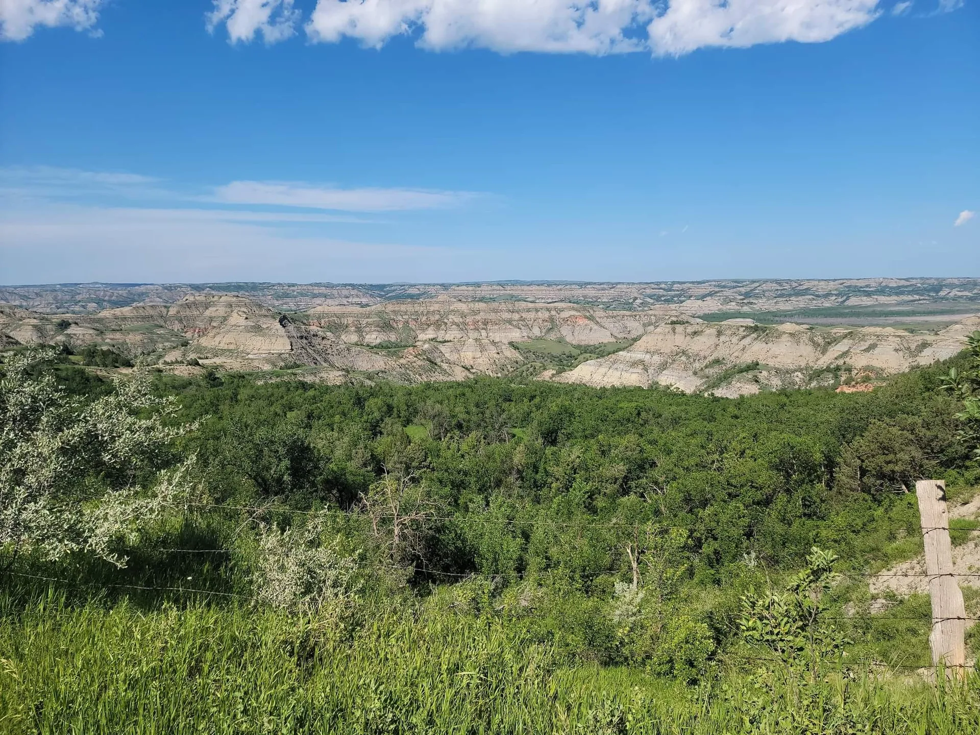 Junebug OnlyFans header