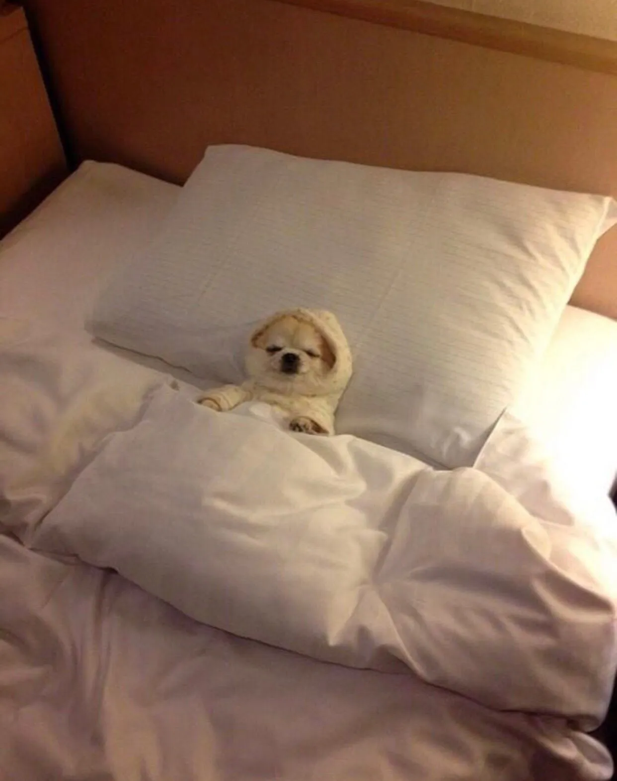 theythinkthatimtomcruise