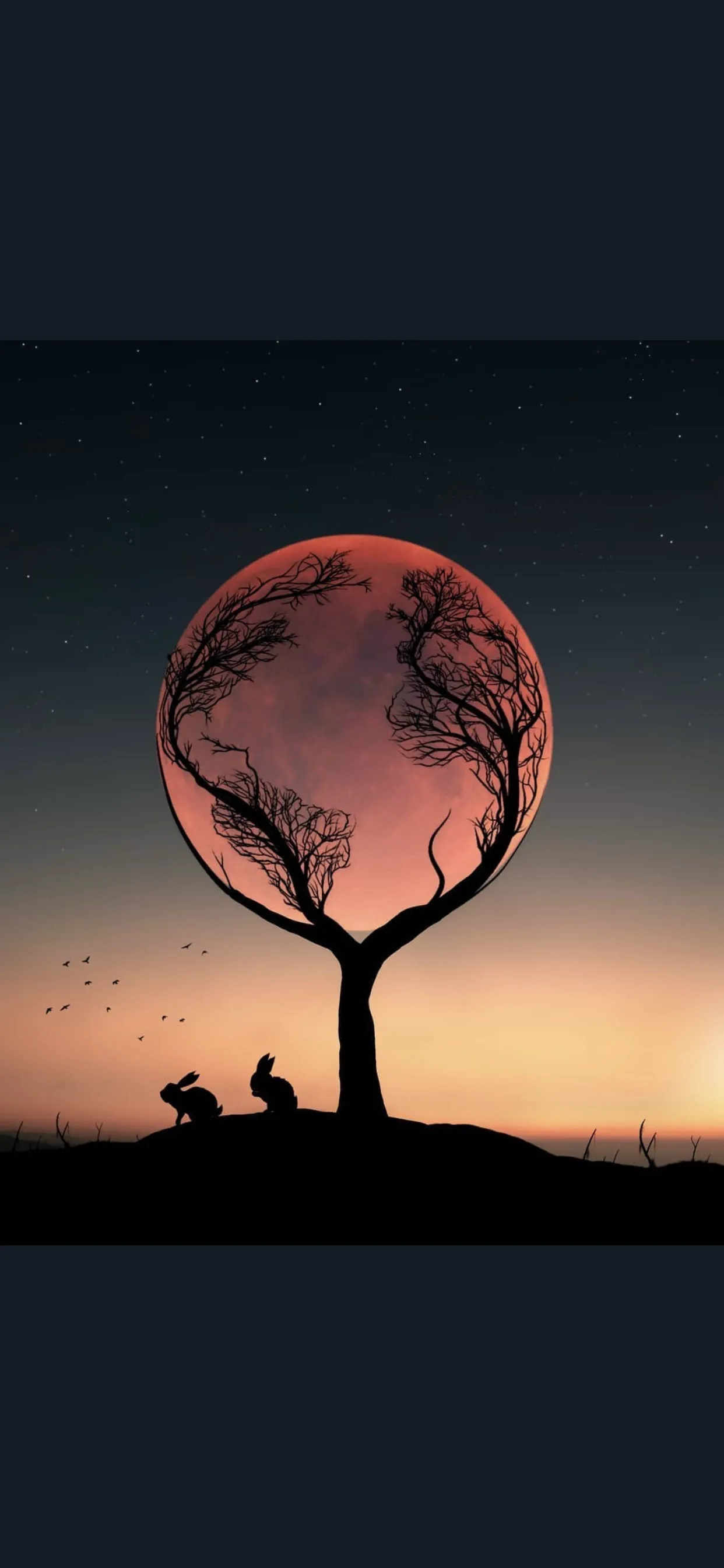 BobbyMichael__ OnlyFans header