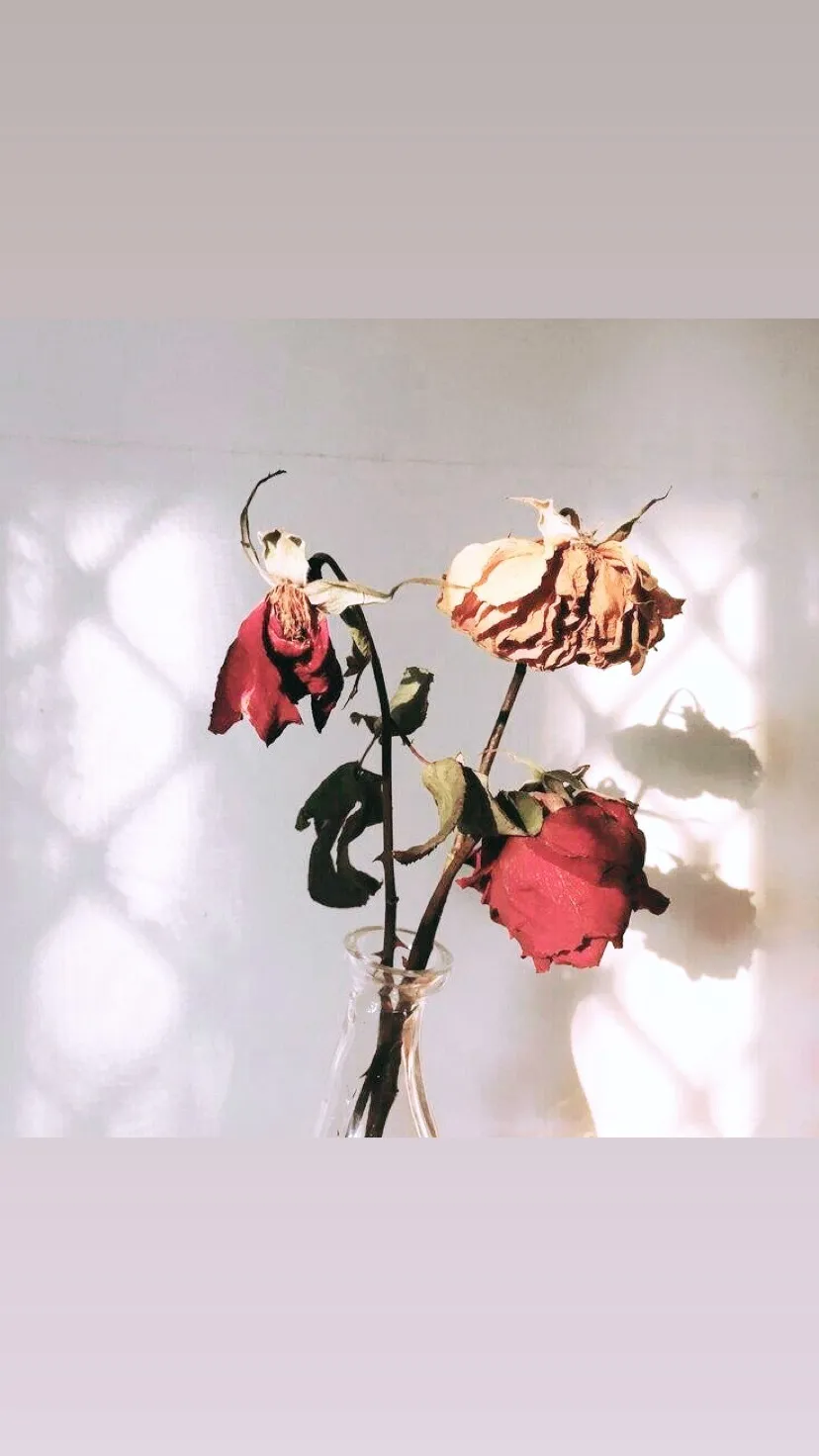 BOBBY T OnlyFans header