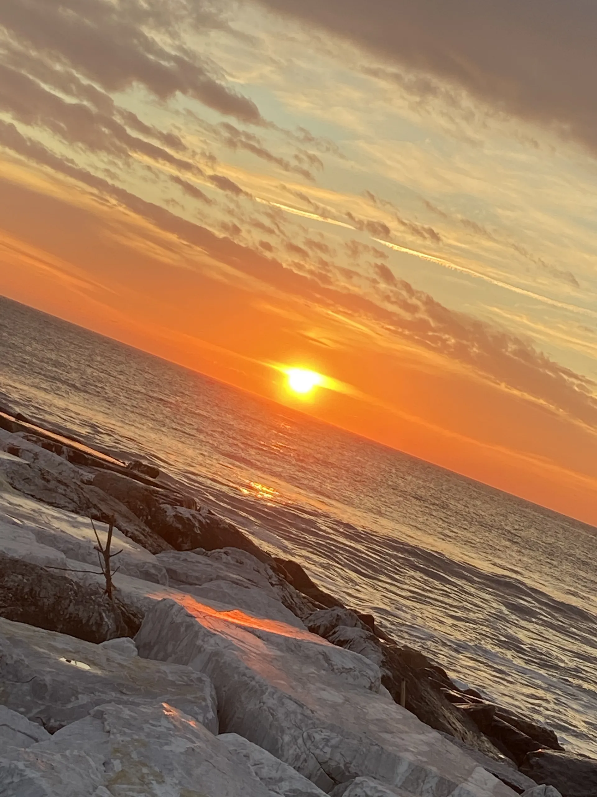 Bobo OnlyFans header