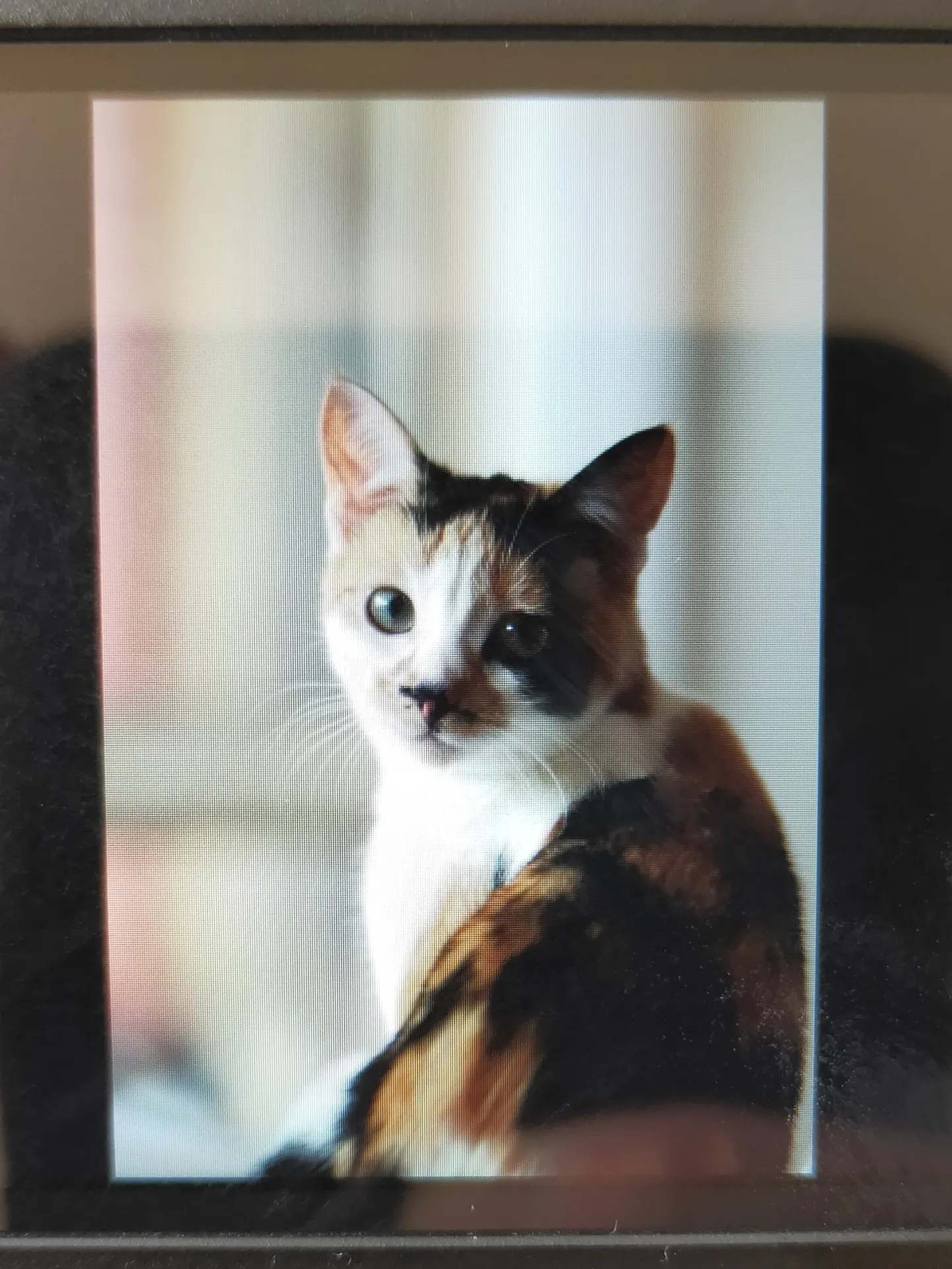 Bob'sTheQueen OnlyFans