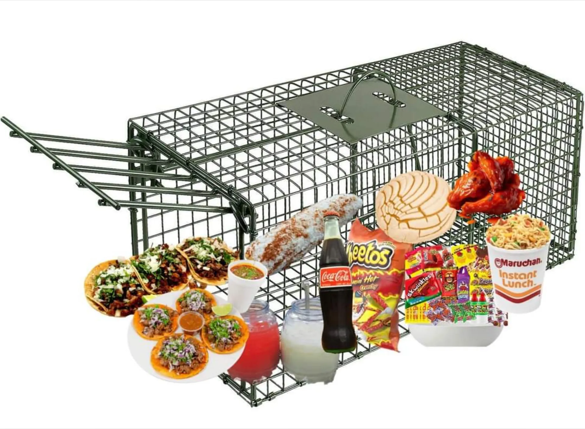 PlumperPrincess👑💕 OnlyFans header