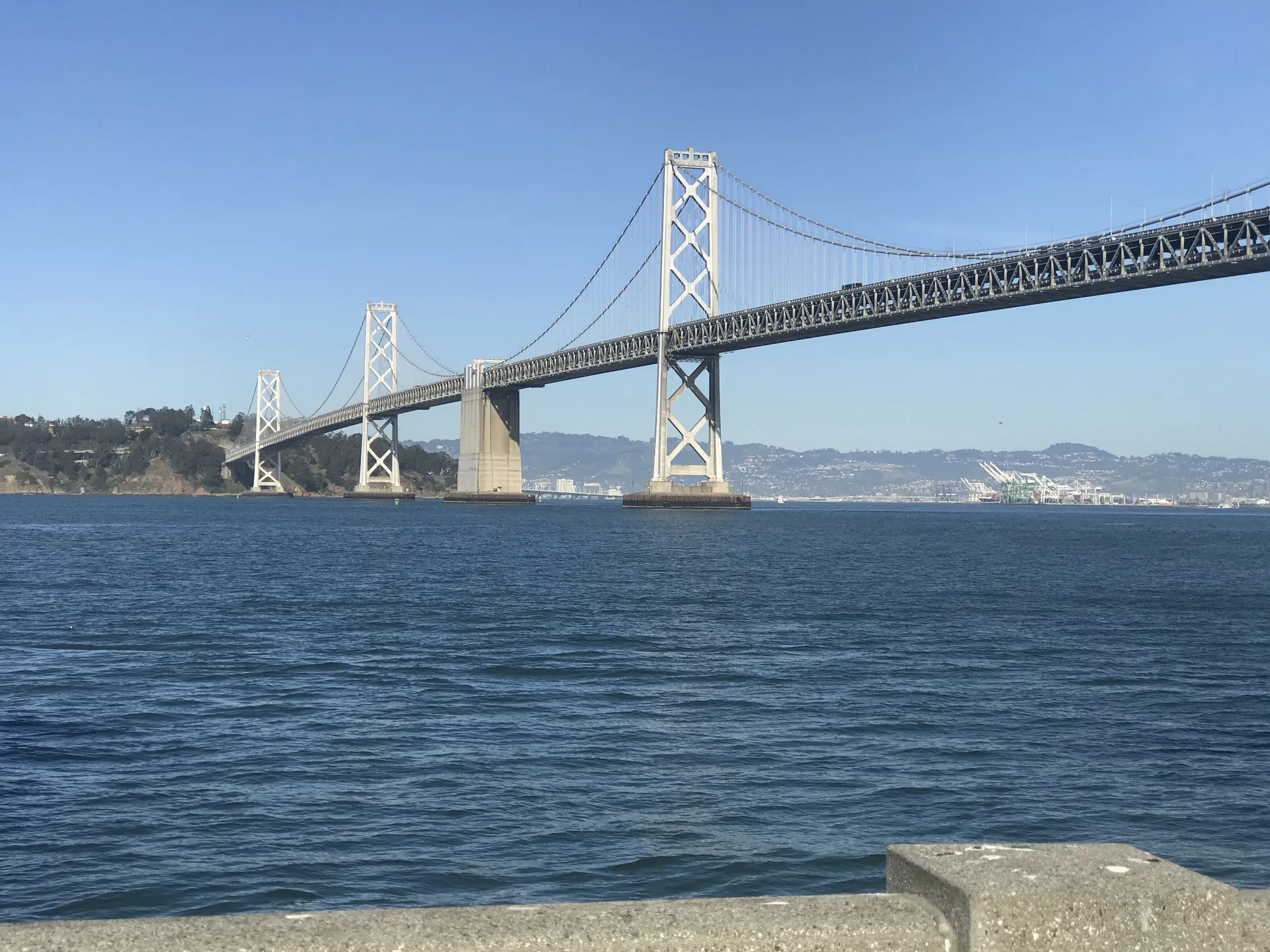 Bodacious Bunny OnlyFans header