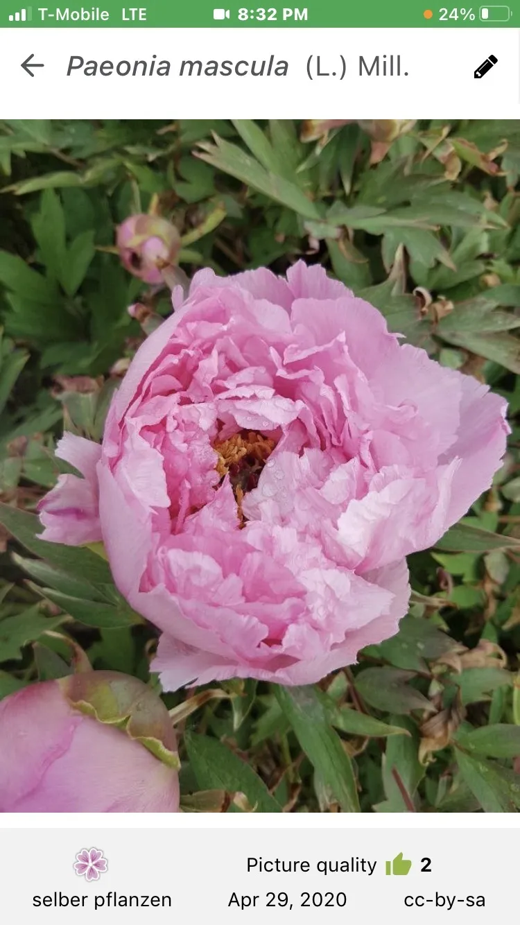 QweenofBodieandSole OnlyFans header