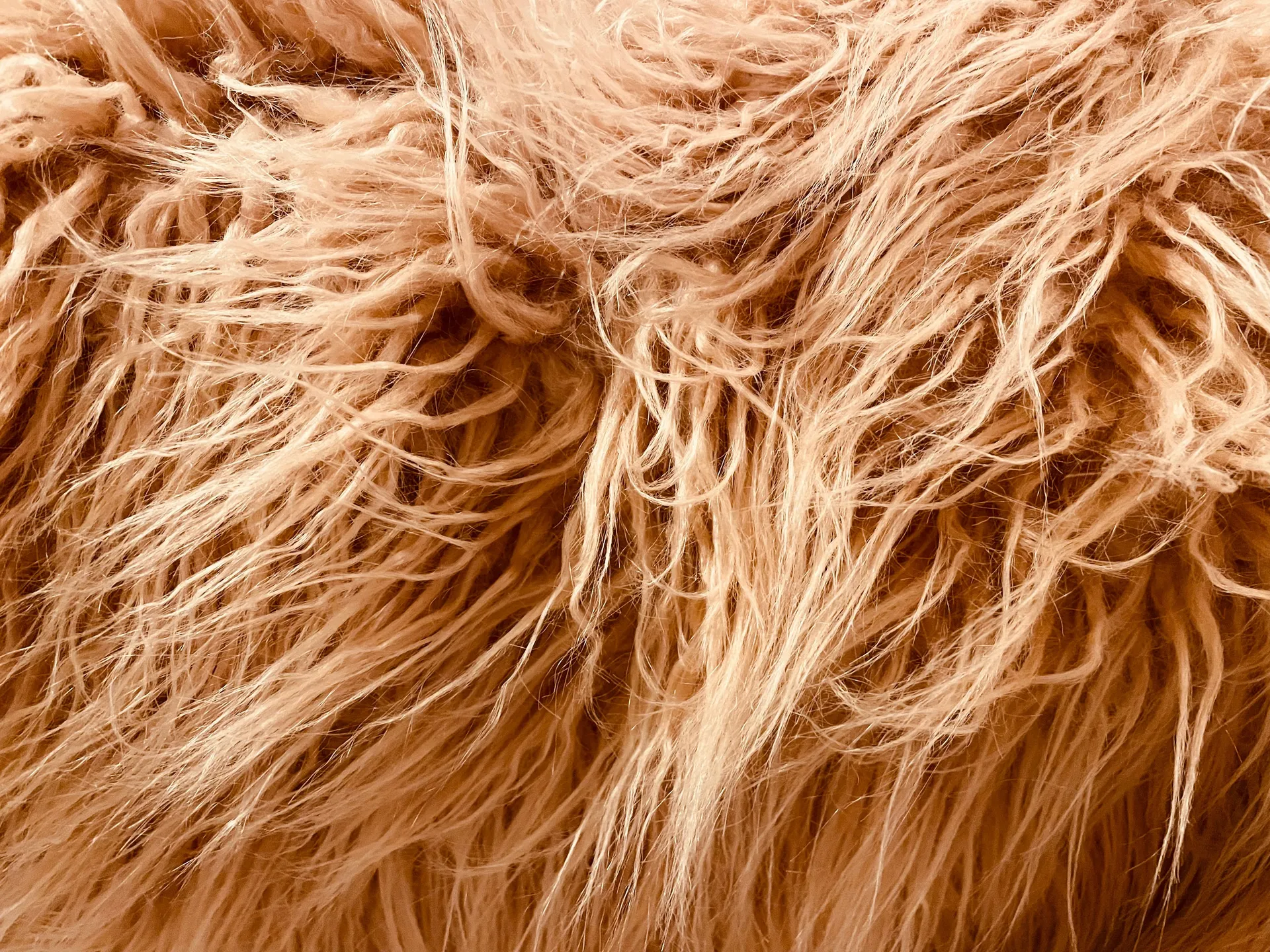 Anna X OnlyFans header