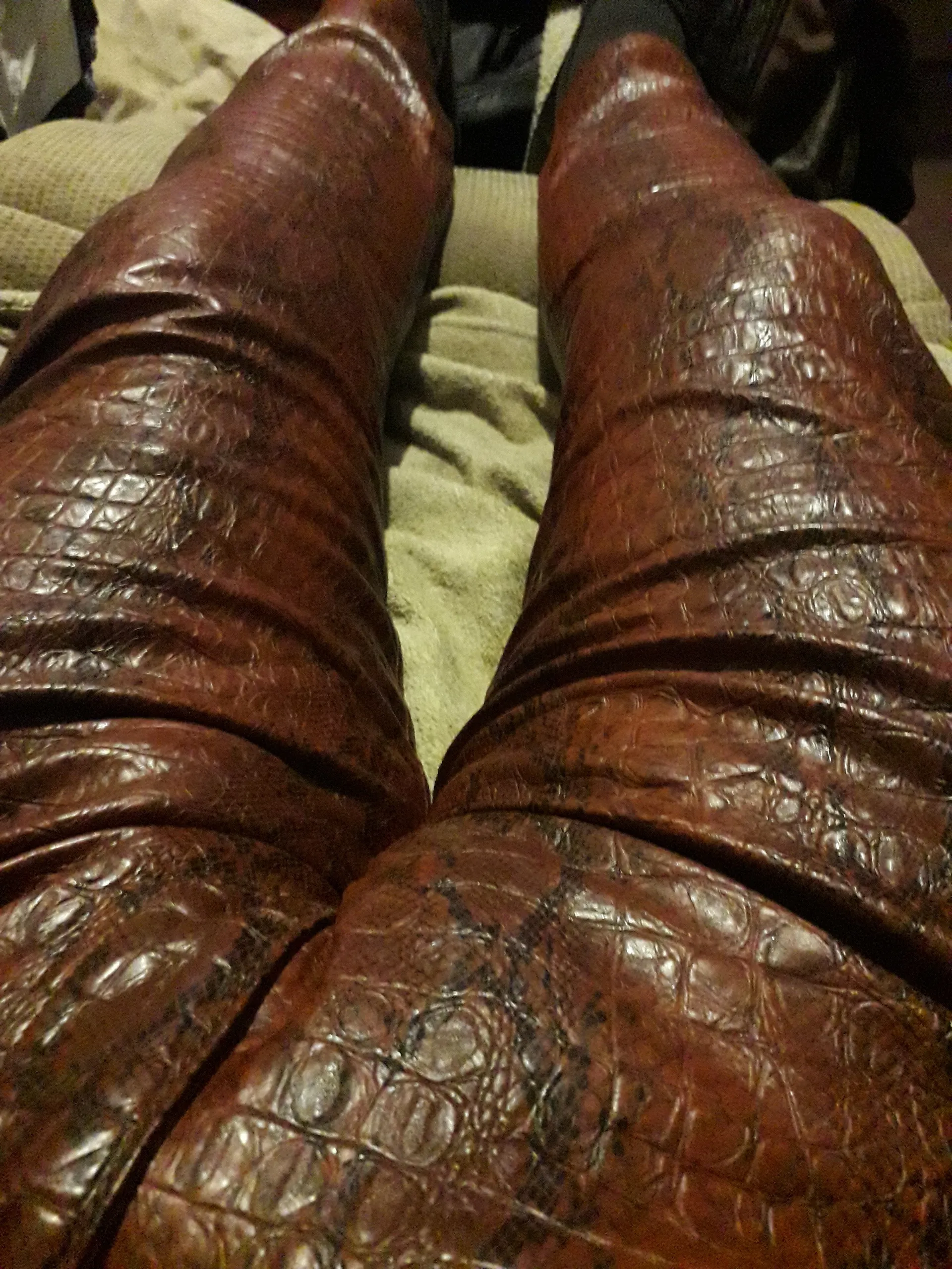 Body Modification Lover OnlyFans header