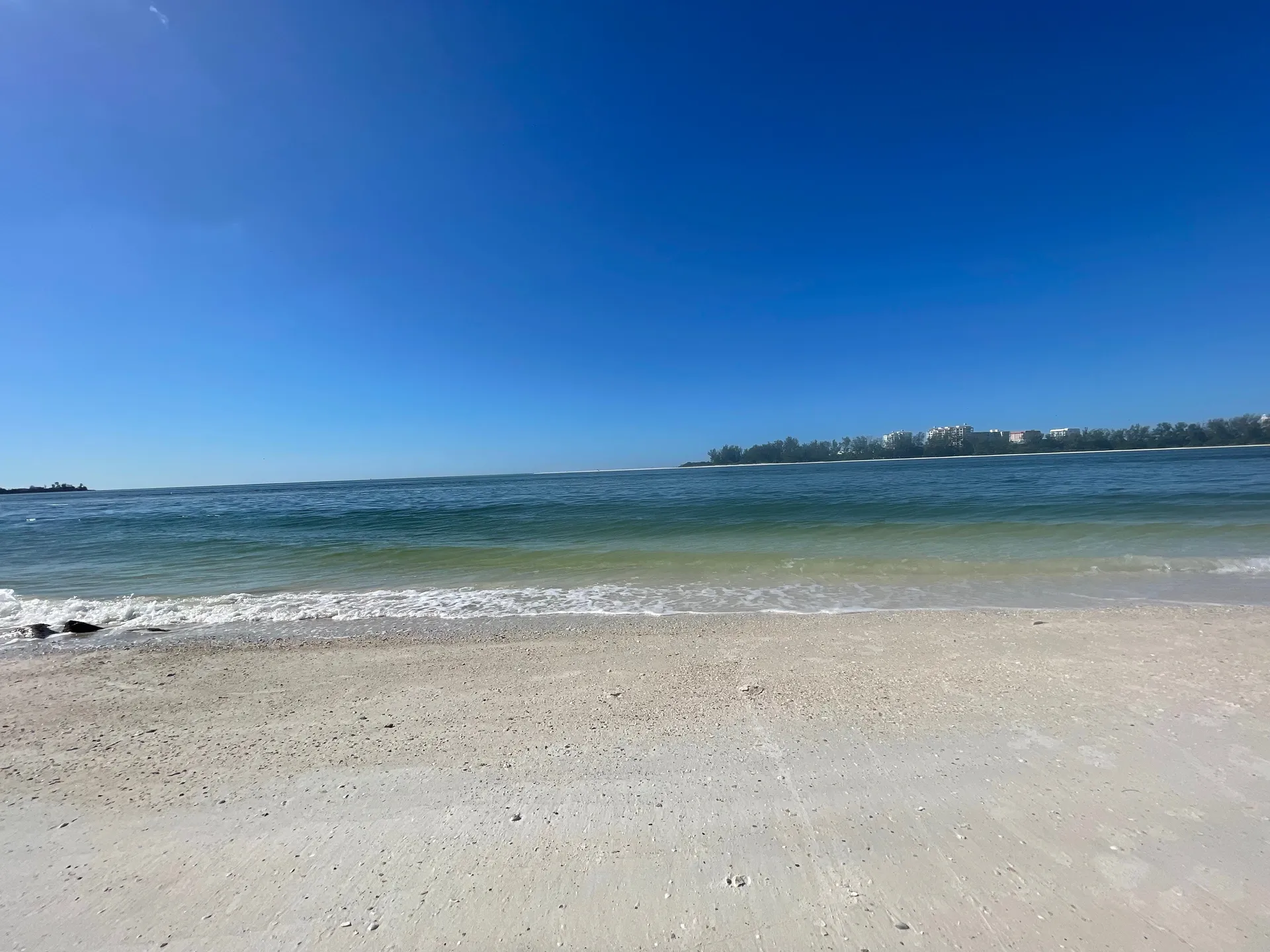 Mamii OnlyFans header