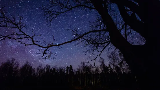 Nora Hawthorn OnlyFans header