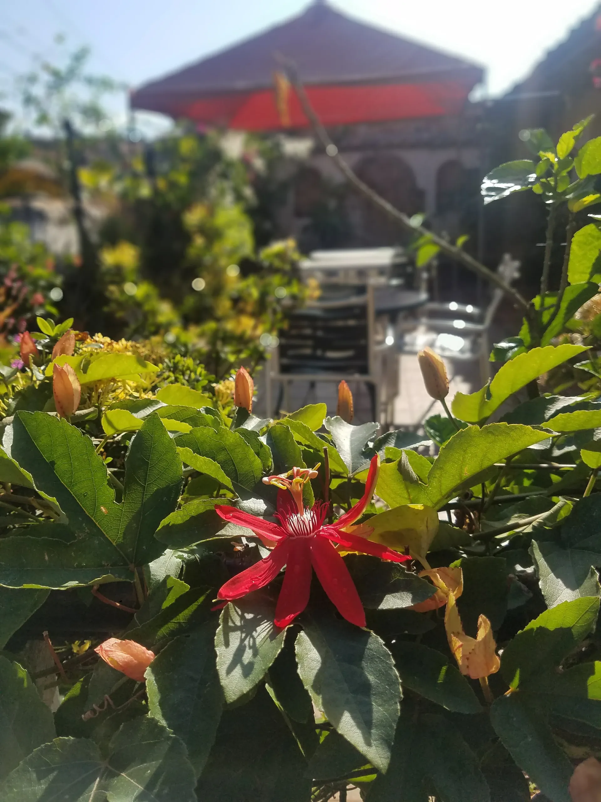 Bodyonly OnlyFans header