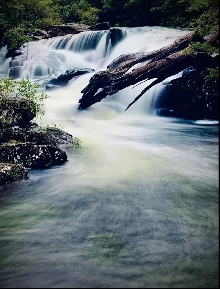 Creative Art OnlyFans header