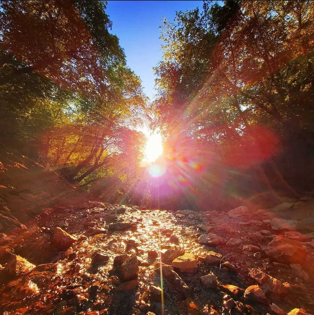 BohoBum OnlyFans header