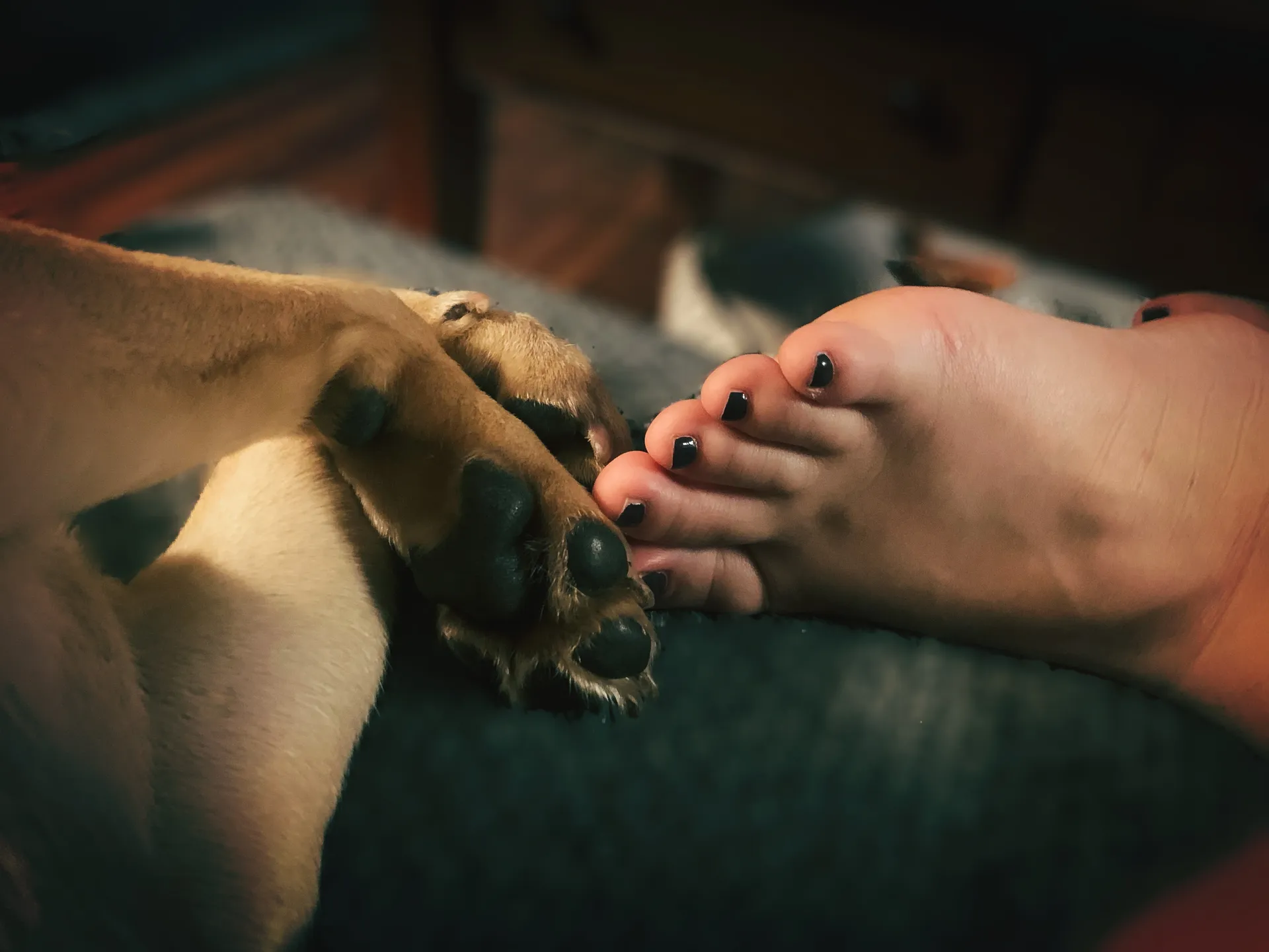 Boho Little-Toe OnlyFans header