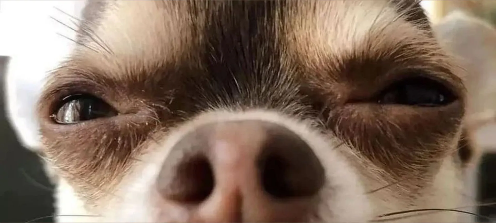 Boiiaz OnlyFans header