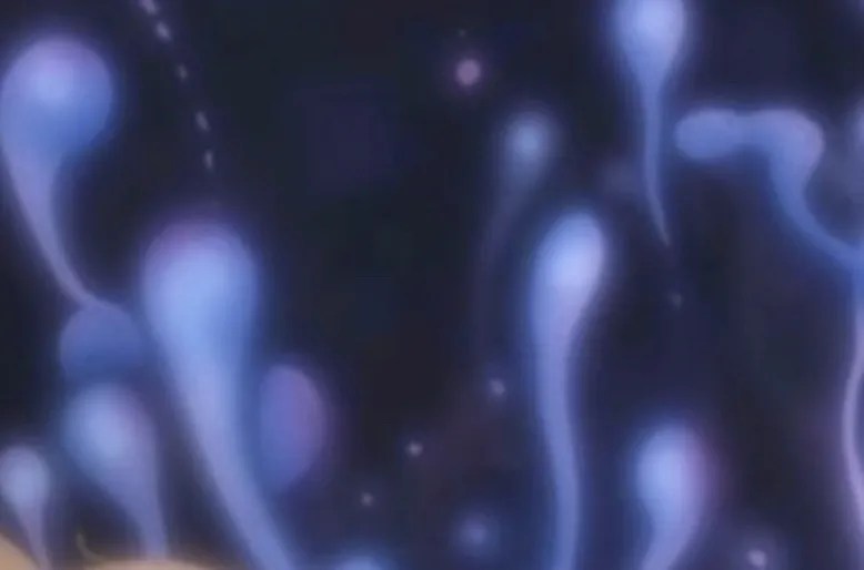 mary magdalene OnlyFans header