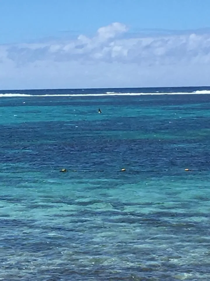 Ludwigh OnlyFans header