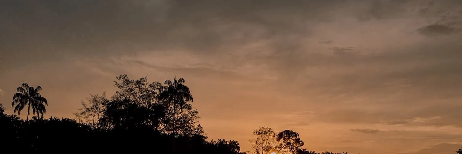 one love OnlyFans header