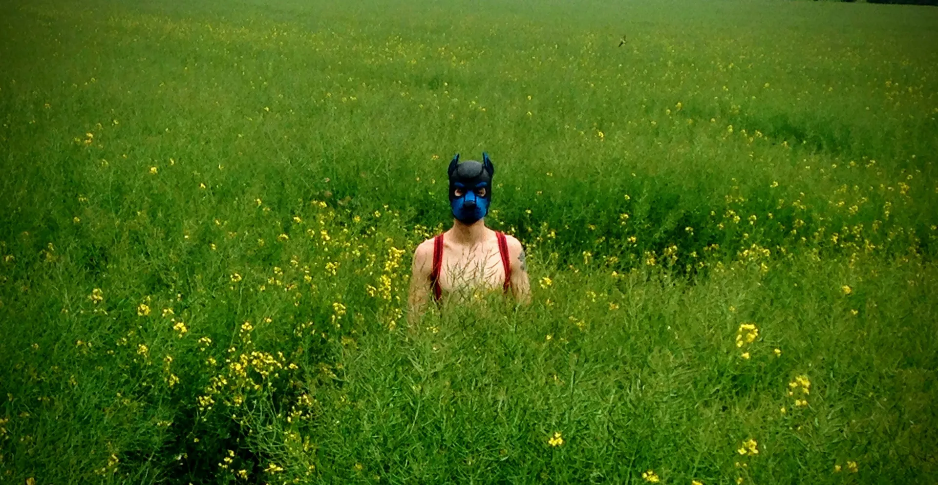 Bolt OnlyFans header