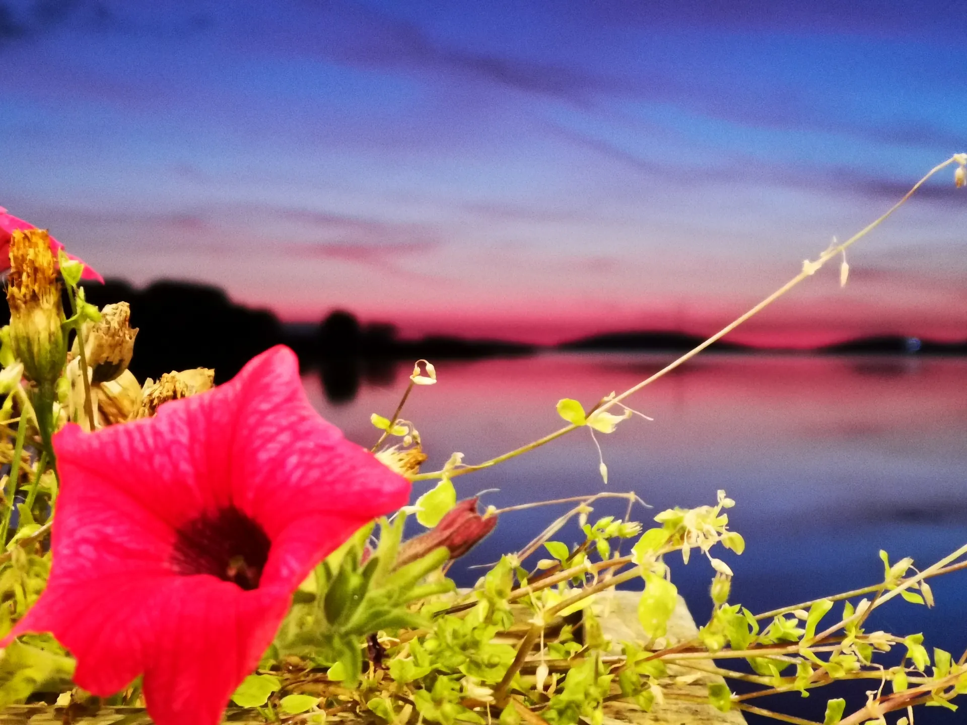 Bonnie💙💙 OnlyFans header