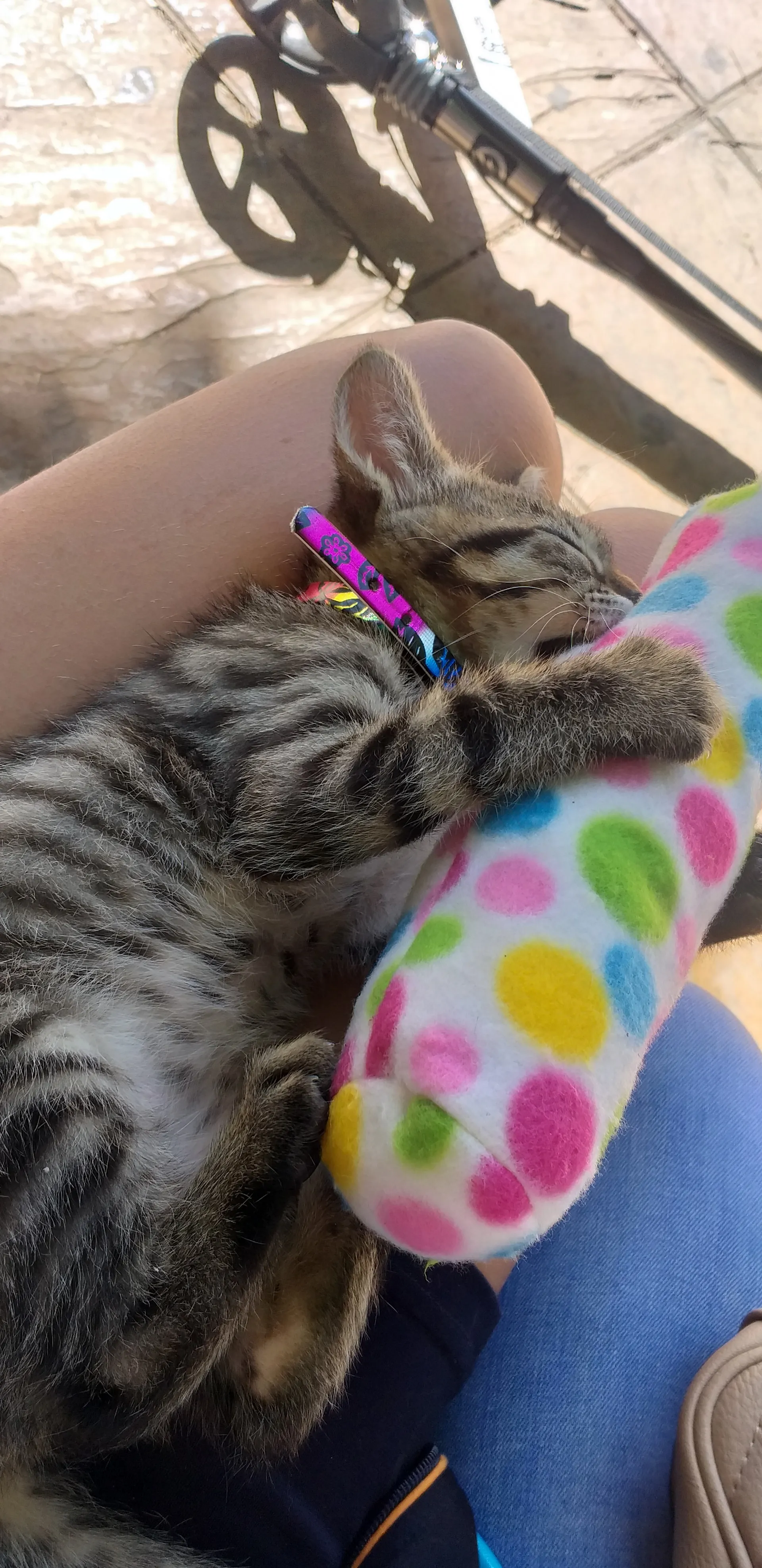 IZAVILLA OnlyFans header