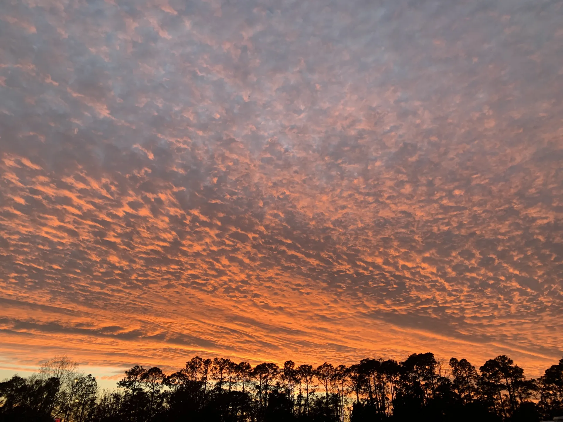 Bombshell Jezebel OnlyFans header