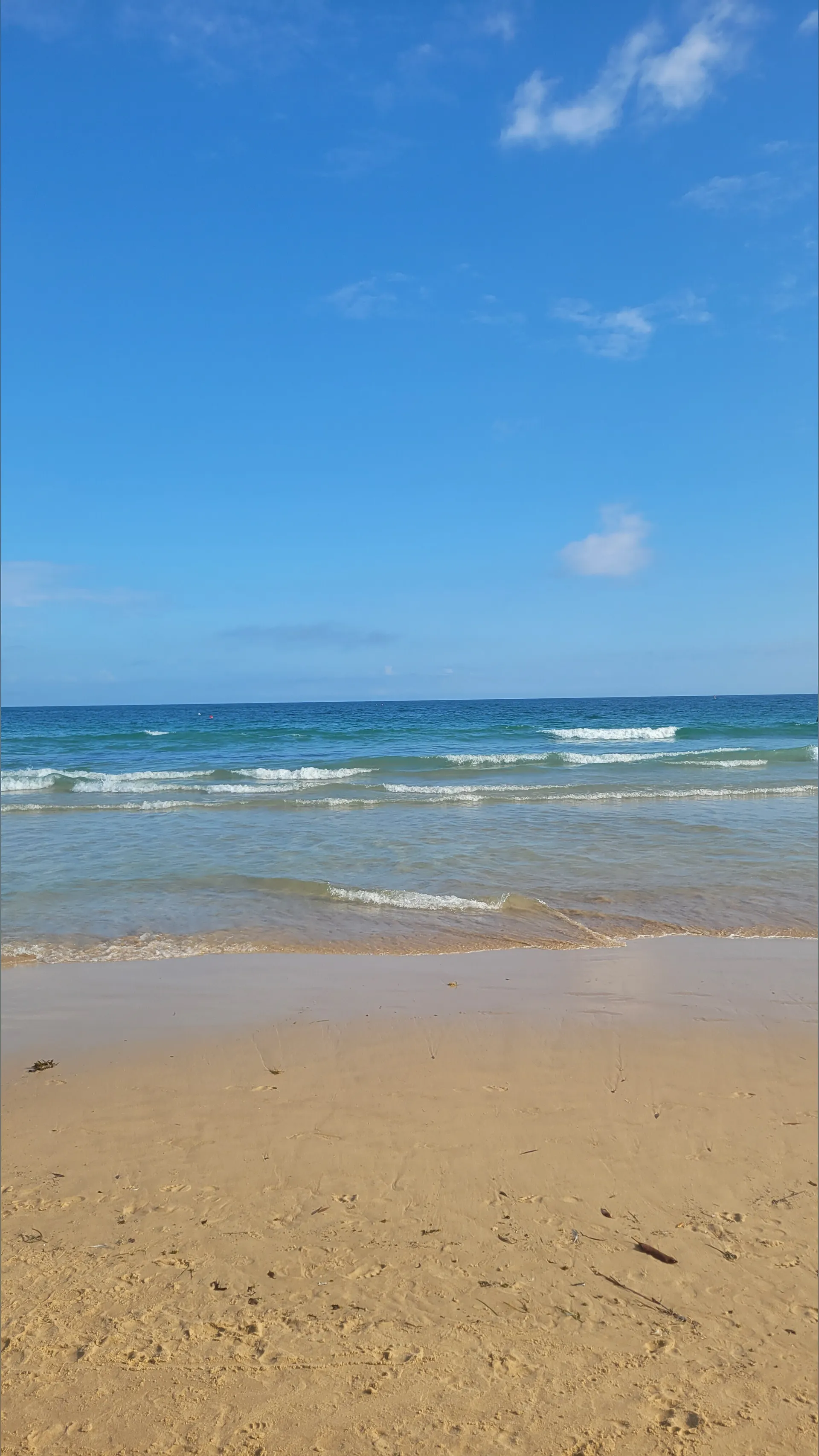 Bondi333 OnlyFans header