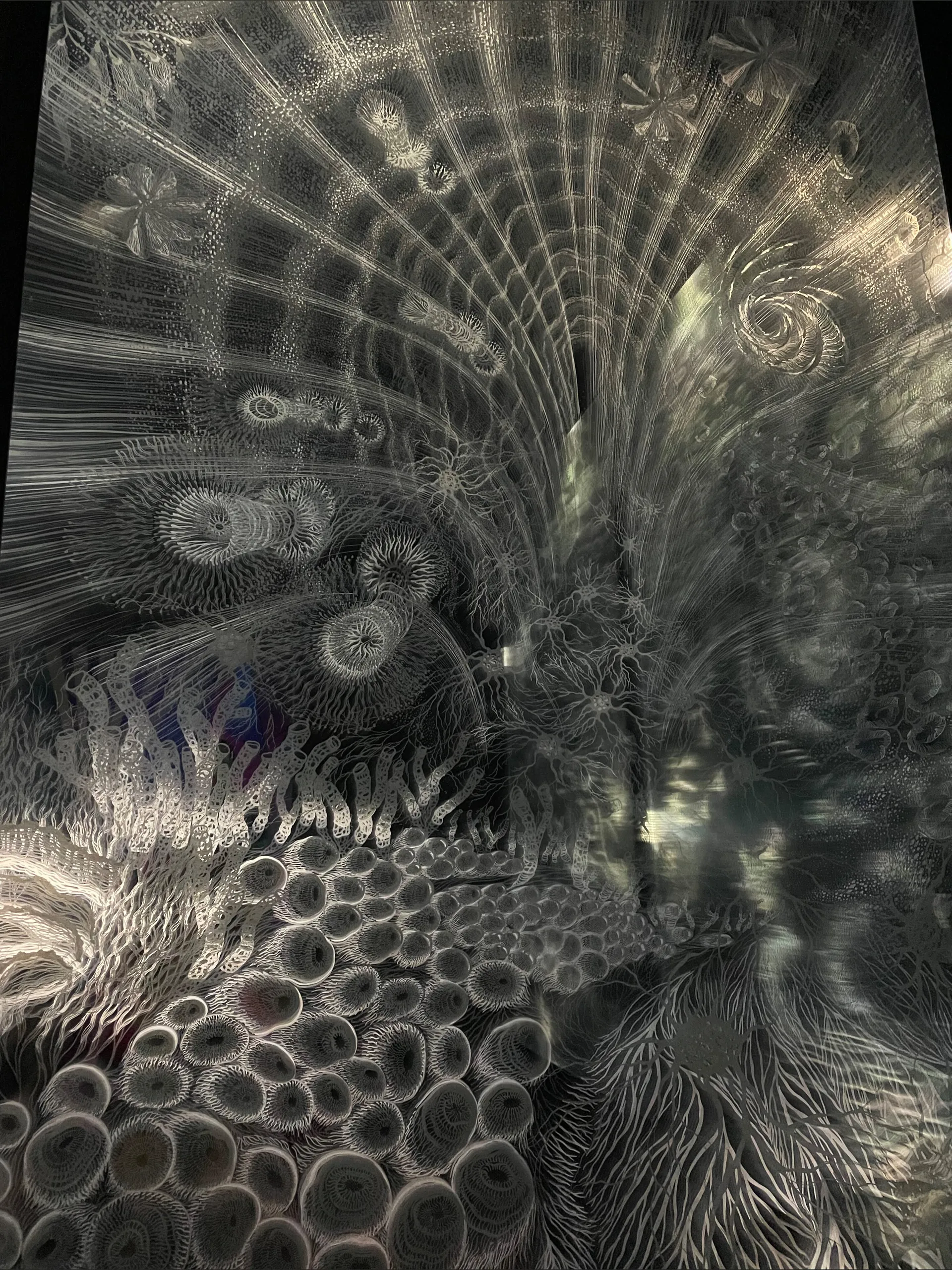 🌿 OnlyFans header