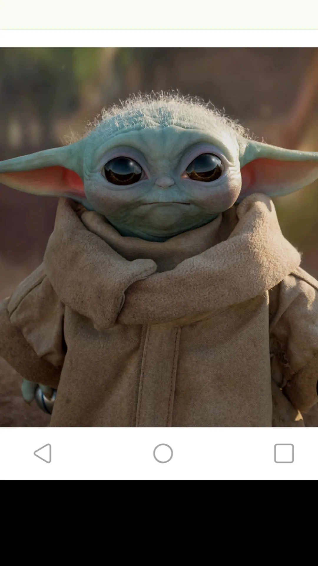 Boners&amp;Airplanes