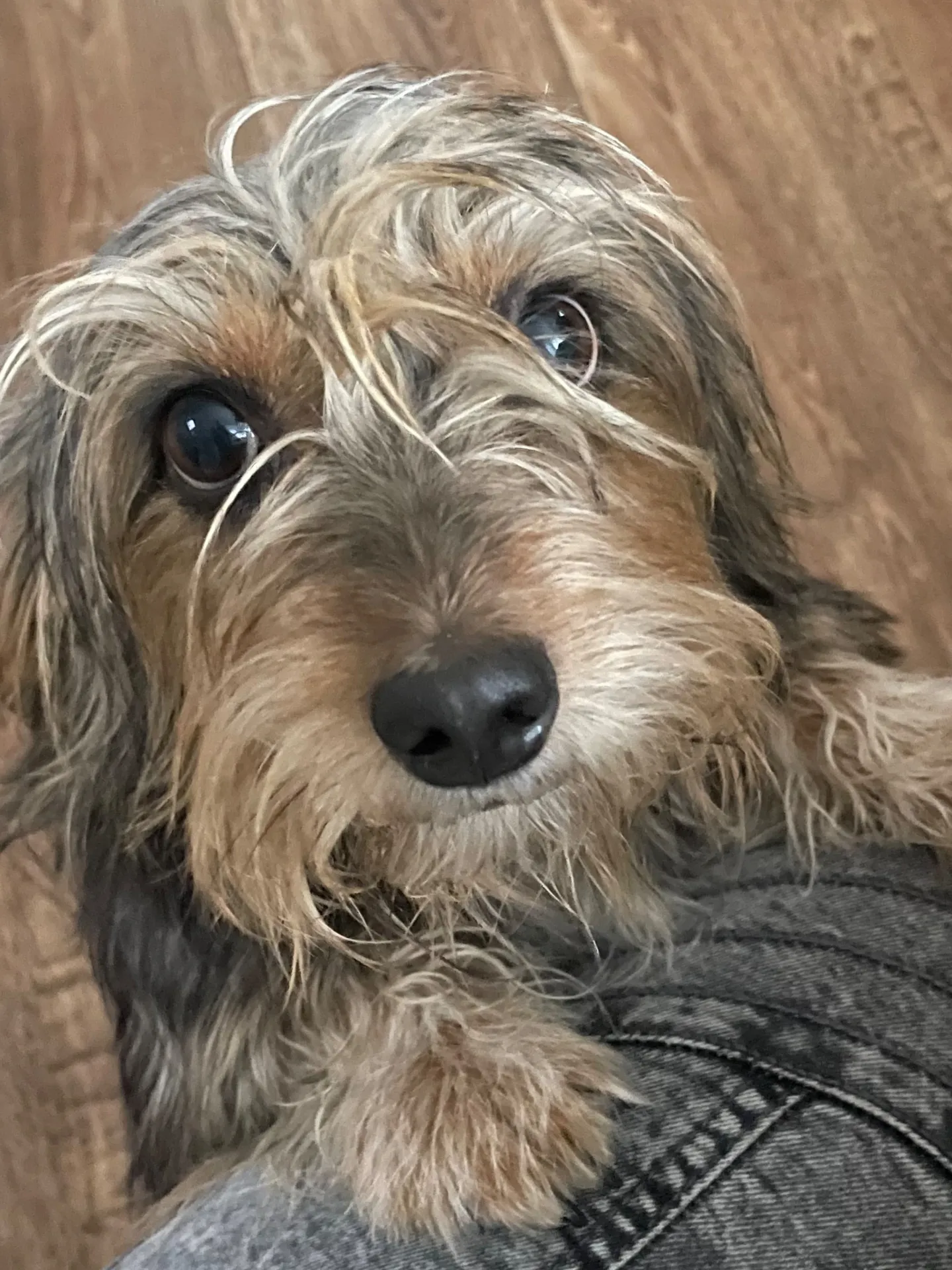 BongaCamsBlllack_Angel