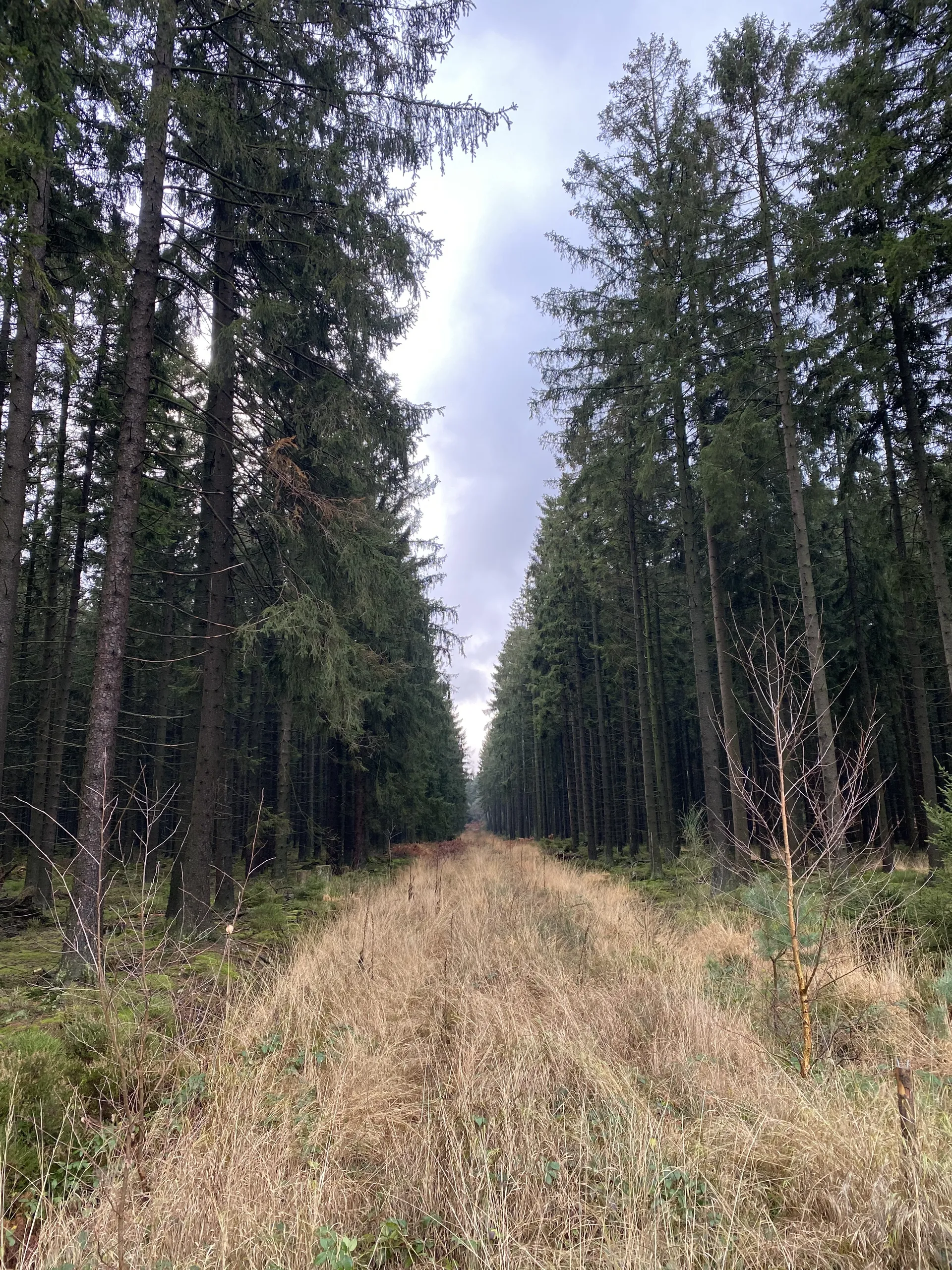 Bonnie Bennett OnlyFans header