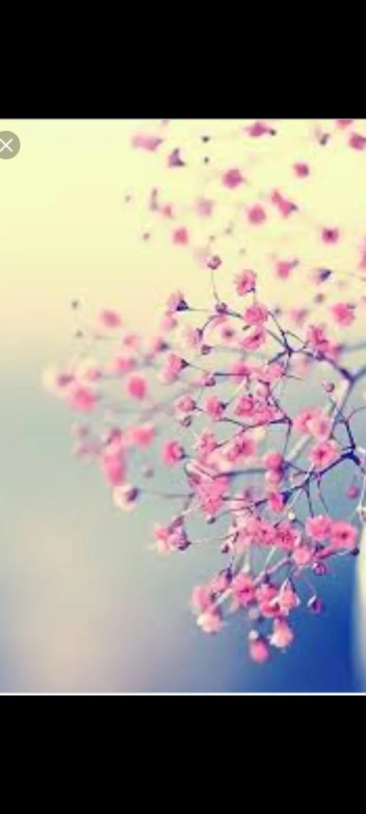 Bonny_candy OnlyFans header