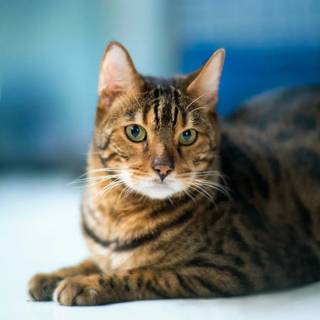 Bunny be naughty OnlyFans header