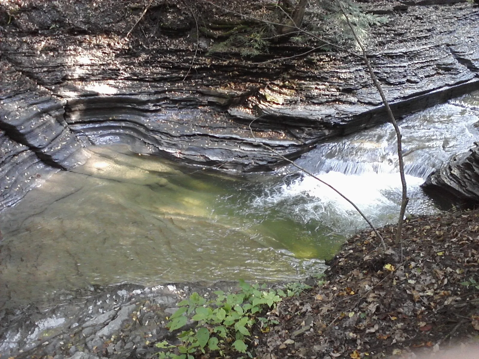 Boo Boo Kitty OnlyFans header