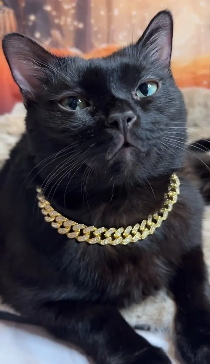 Booboo OnlyFans header