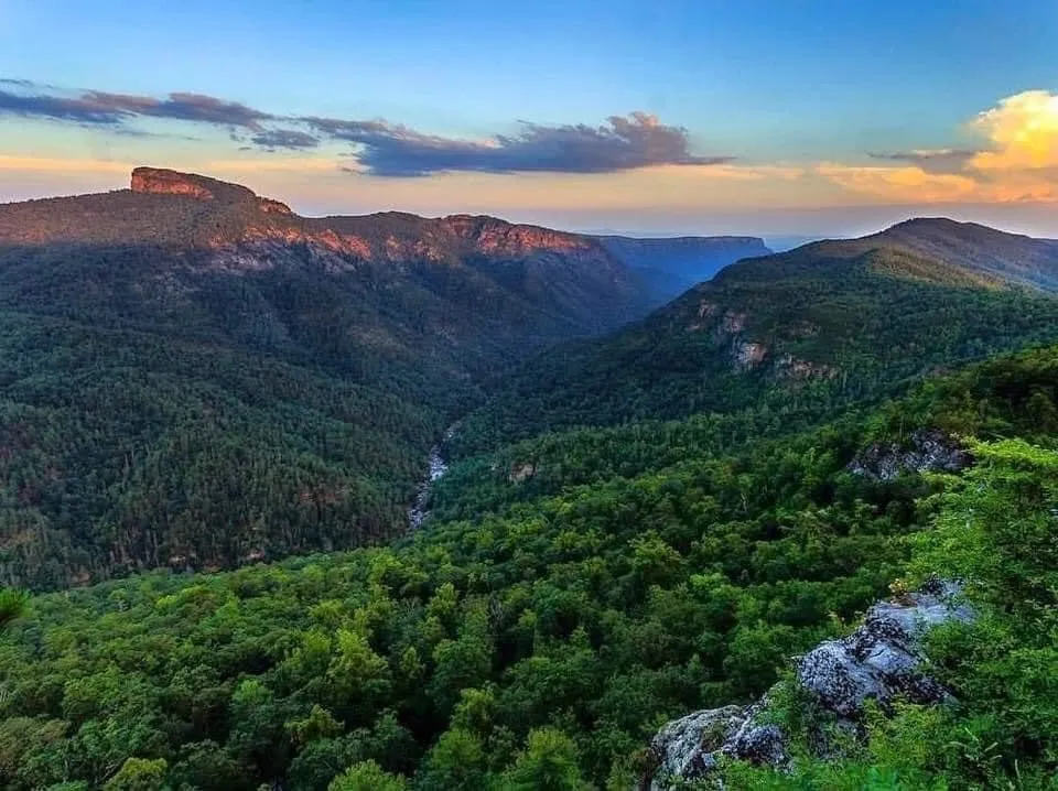 Damien Wade OnlyFans header