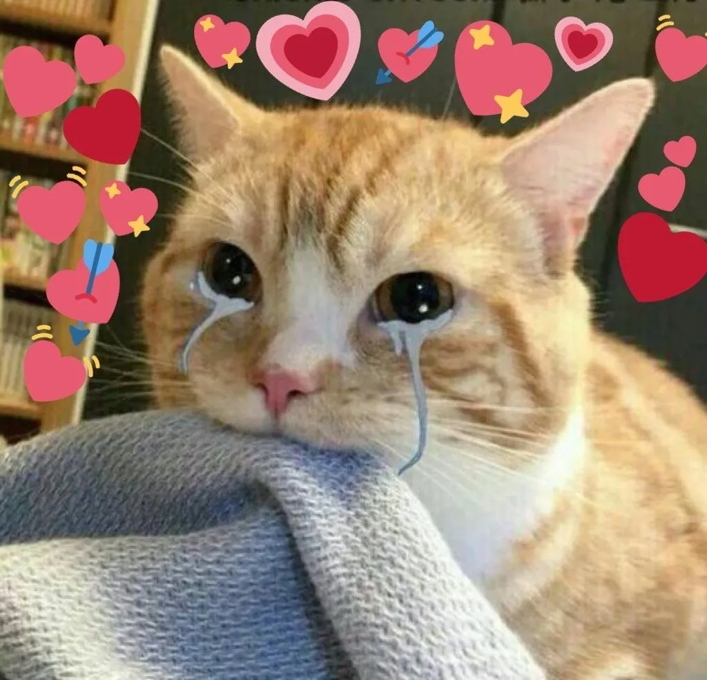 Boohy OnlyFans header