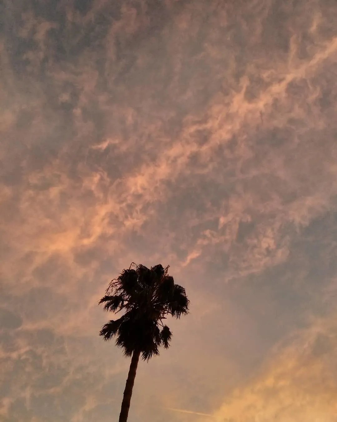 Clara Rosales OnlyFans header