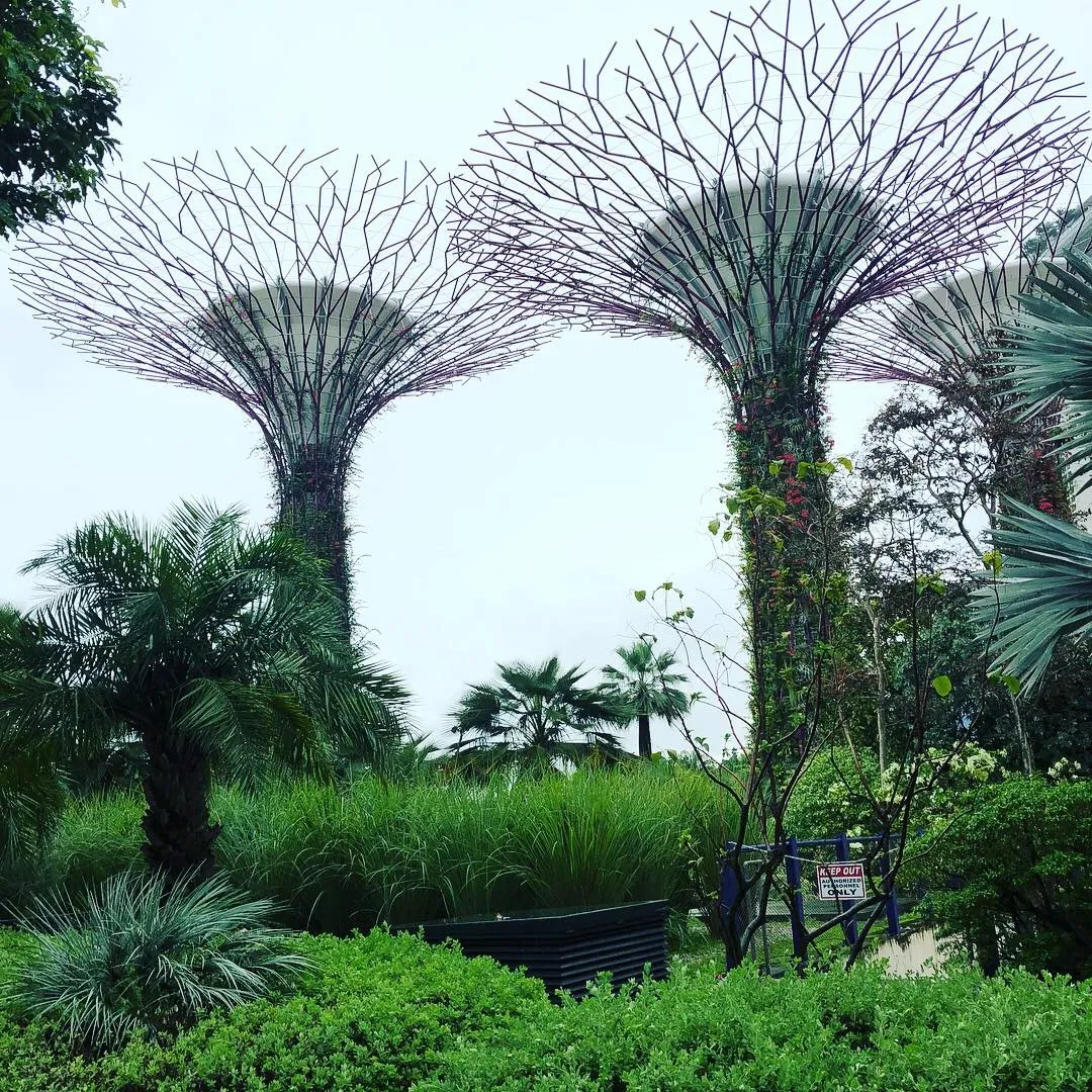 Krissy OnlyFans header