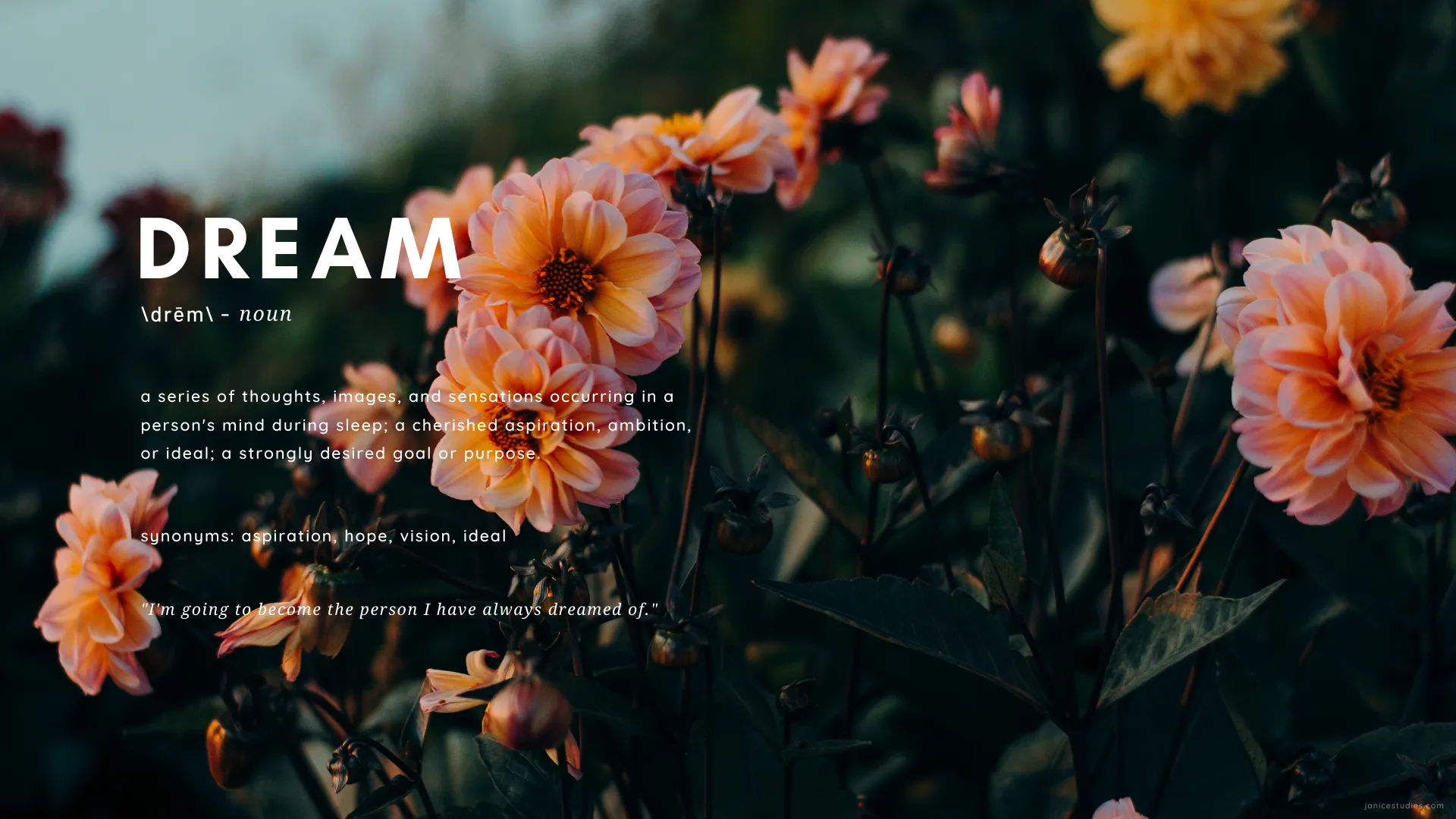 Bonnie OnlyFans header