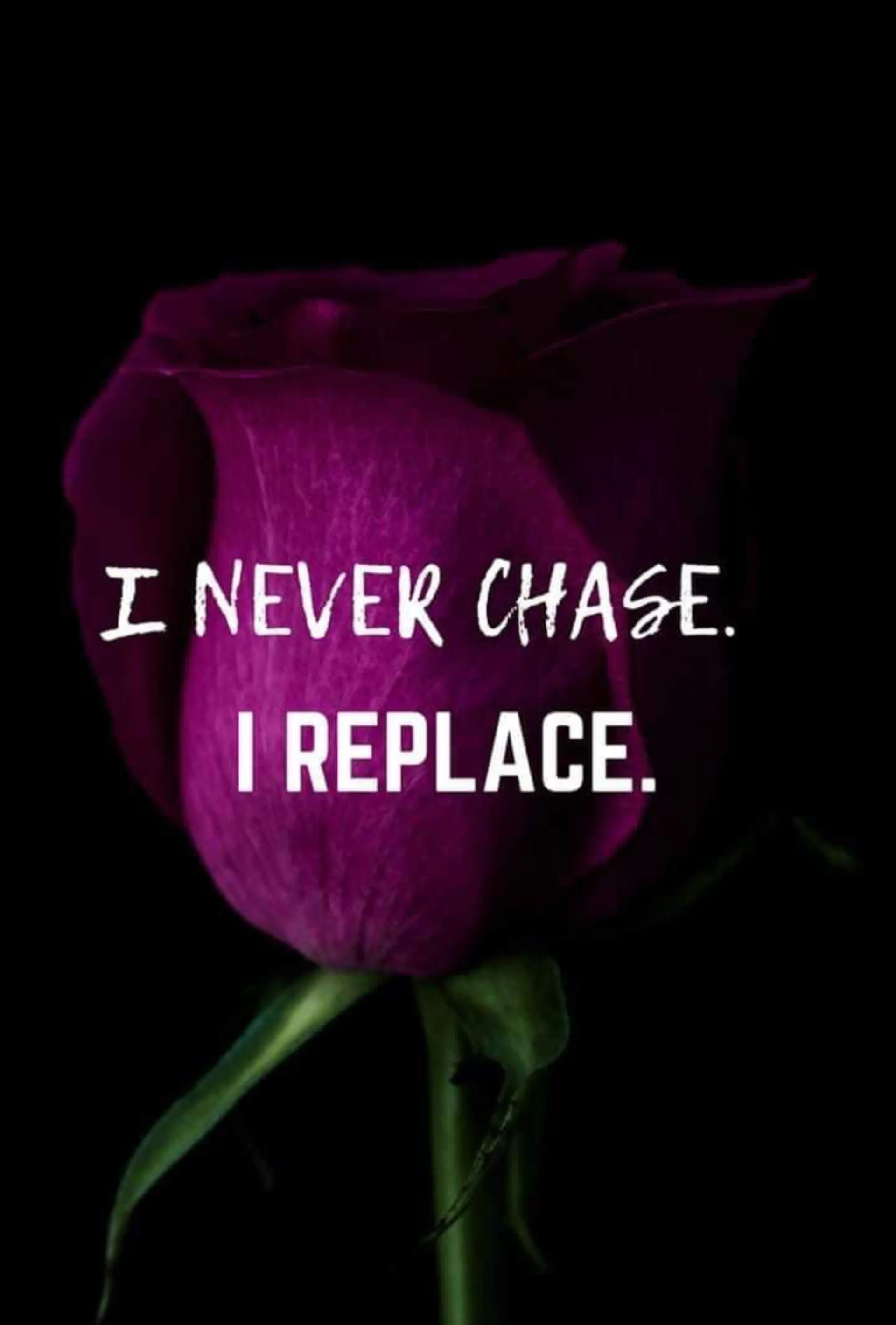 BoopNEXT OnlyFans header