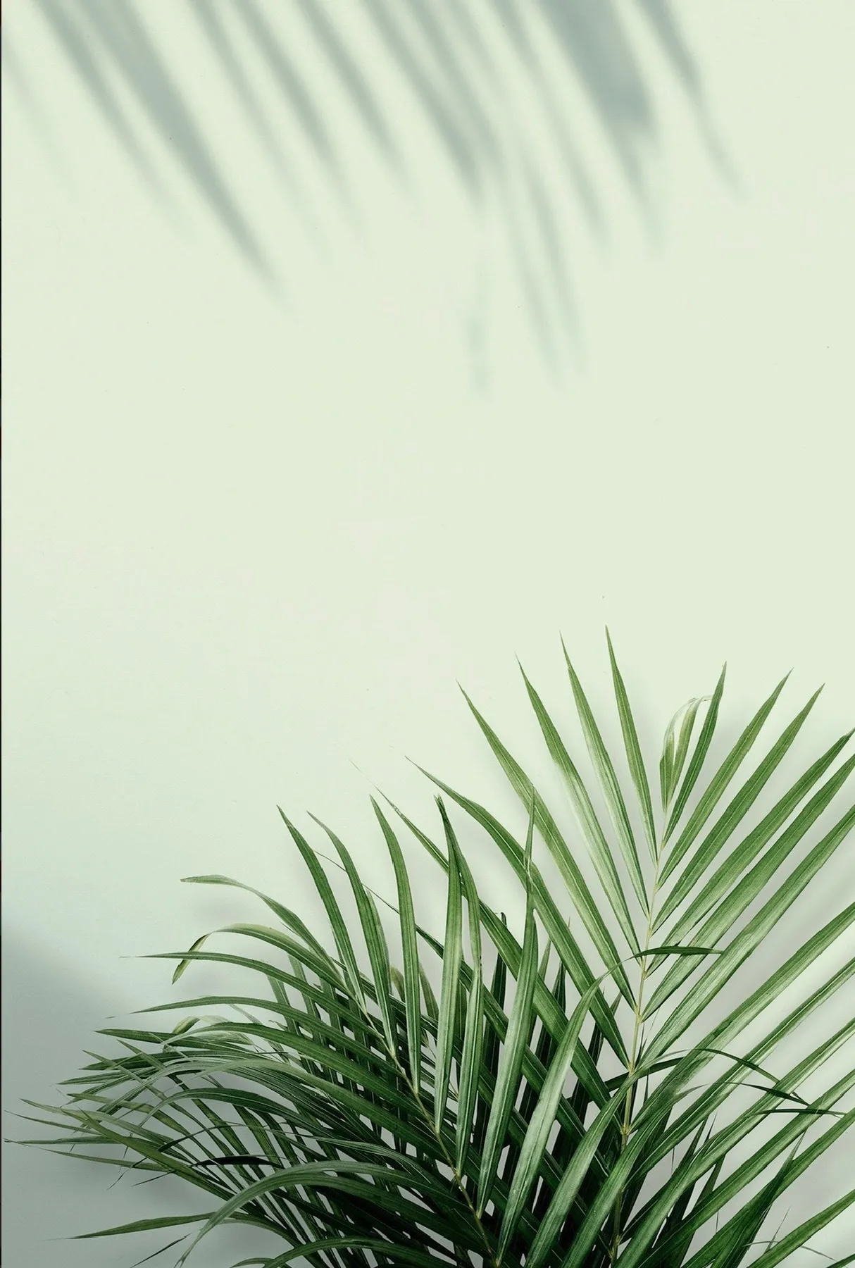 TayTay OnlyFans header