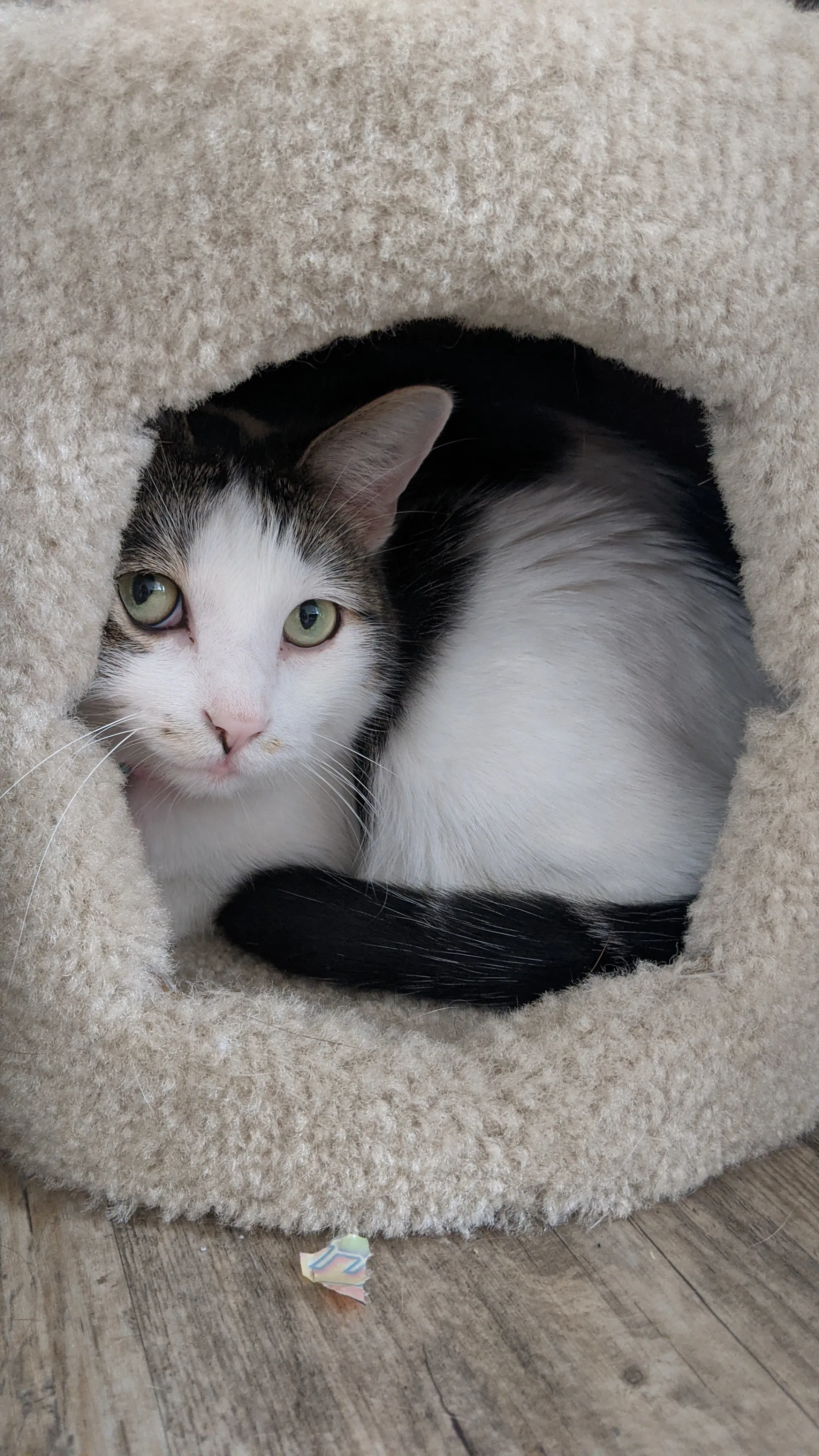 Broke College Student OnlyFans header