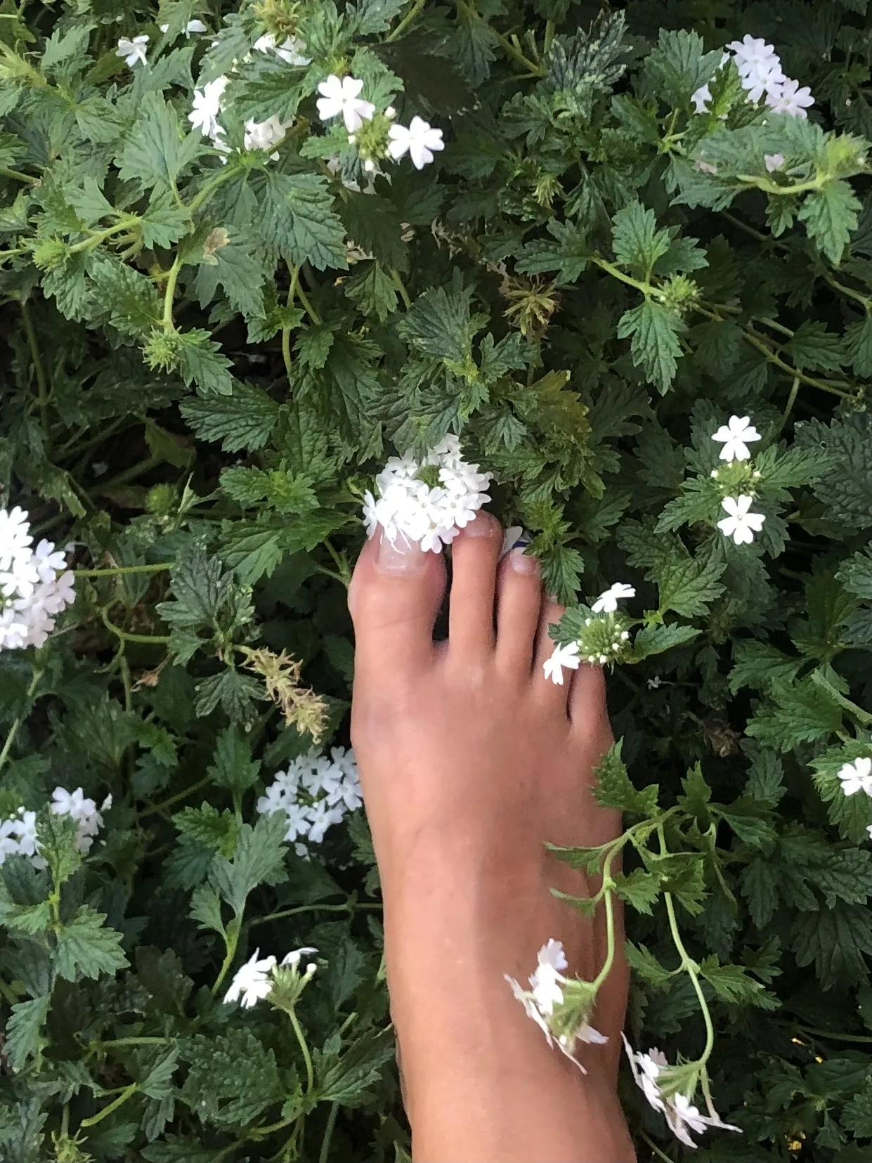 These Boots Are Made For Walking