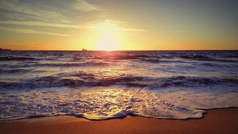 Booty-Fruit And Stunt-Cock OnlyFans header