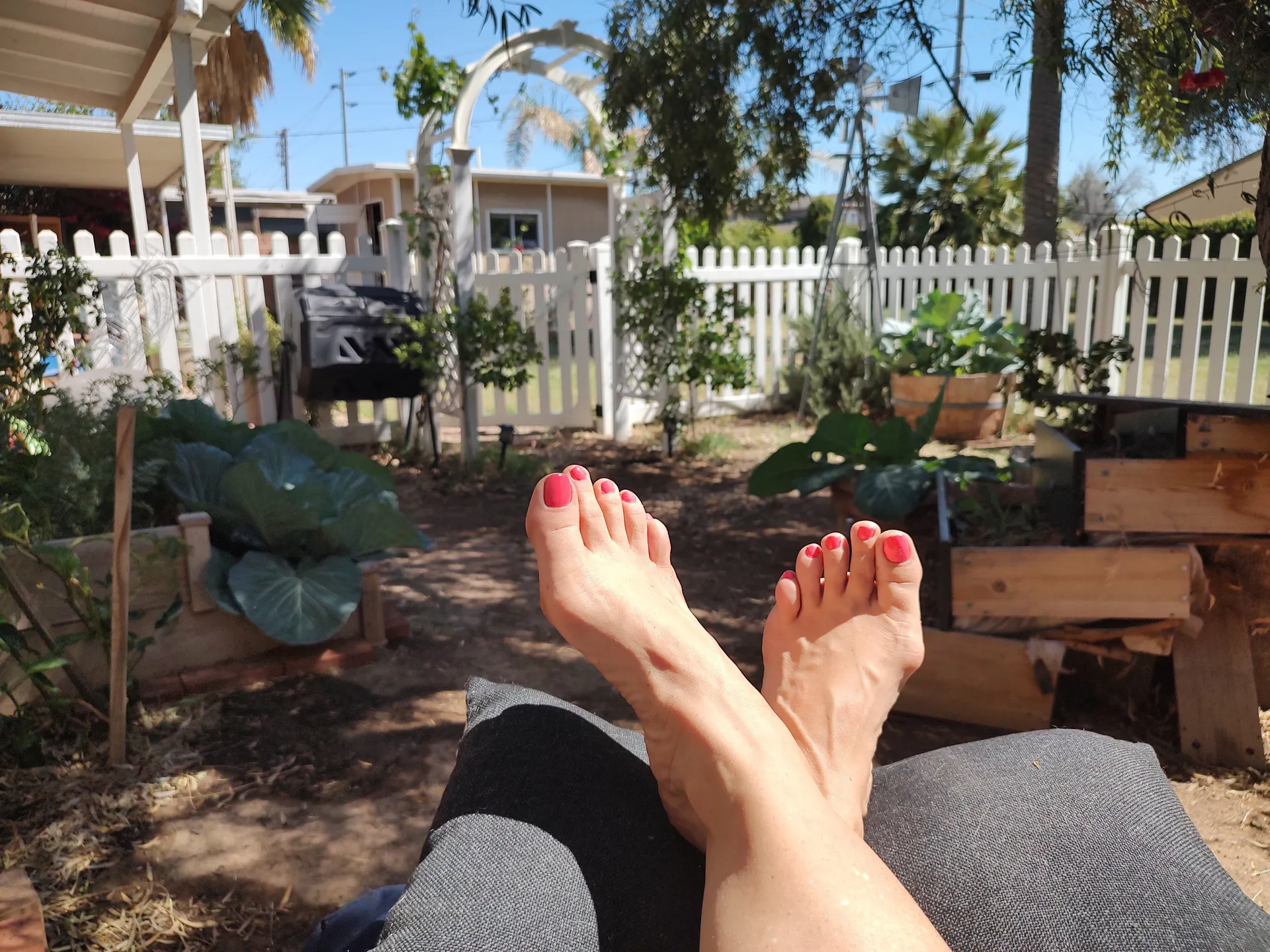 Booty and Bunions OnlyFans header